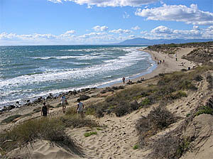 The sand-dunes are a protected area of Cabopino beach